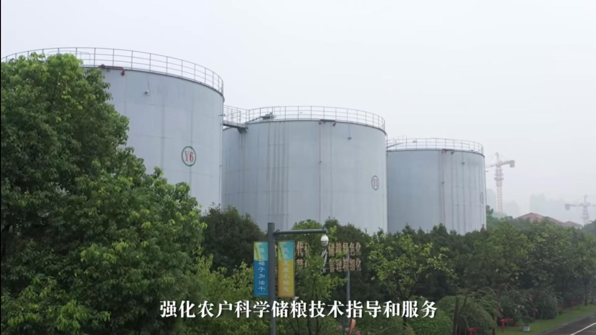 微信图片_20241130165538